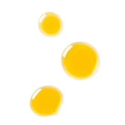 Dr. Hauschka Huile équilibrante Pour Le Visage -MÁDARA Boutique 108 216411 3 max