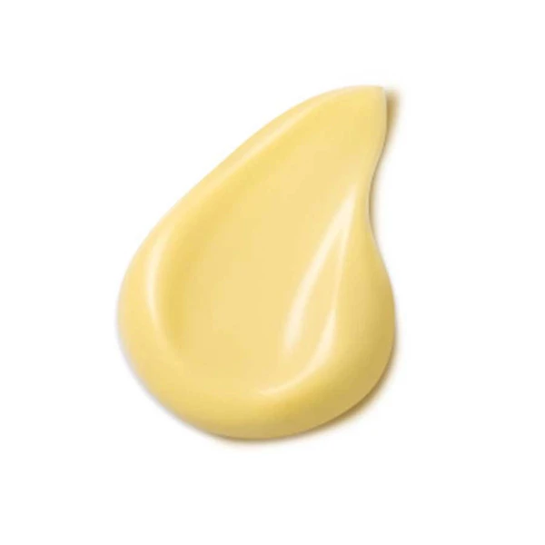 Dr. Hauschka Crème De Jour Au Coing 3 Dr. Hauschka Crème De Jour Au Coing – Image 3