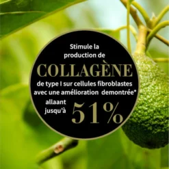 Αντίποδες Huile Visage DIVINE -Default Template 1 108 235847 3 max