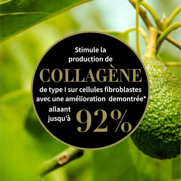 Αντίποδες Crème De Nuit Nourrissante à L'Avocat 3 Αντίποδες Crème De Nuit Nourrissante à L'Avocat – Image 3