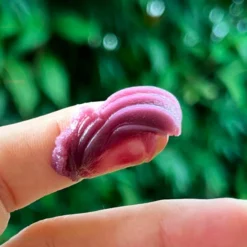 Rare Indigo - Baume De Beauté Apaisant & Régénérant -Default Template 1 108 252196 3 max